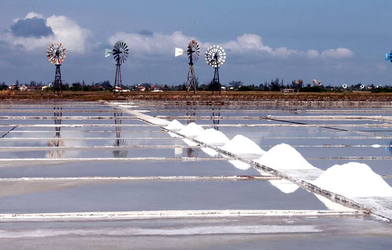 Visitar as Salinas da Lagoa de Araruama, Araruama RJ