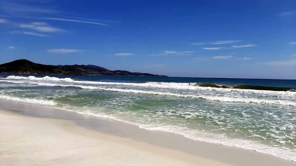 Surfar nas fortes ondas da Praia do Foguete
